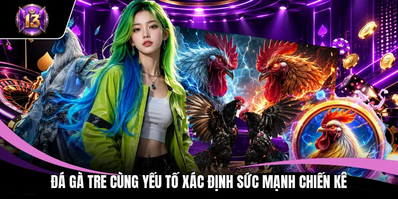 Đá gà tre cùng yếu tố xác định sức mạnh chiến kê