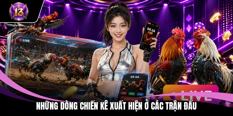 Những dòng chiến kê xuất hiện ở các trận đấu